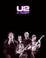 Cover: U2: A Diary