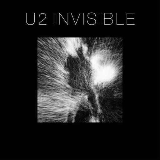 Cover: Invisible