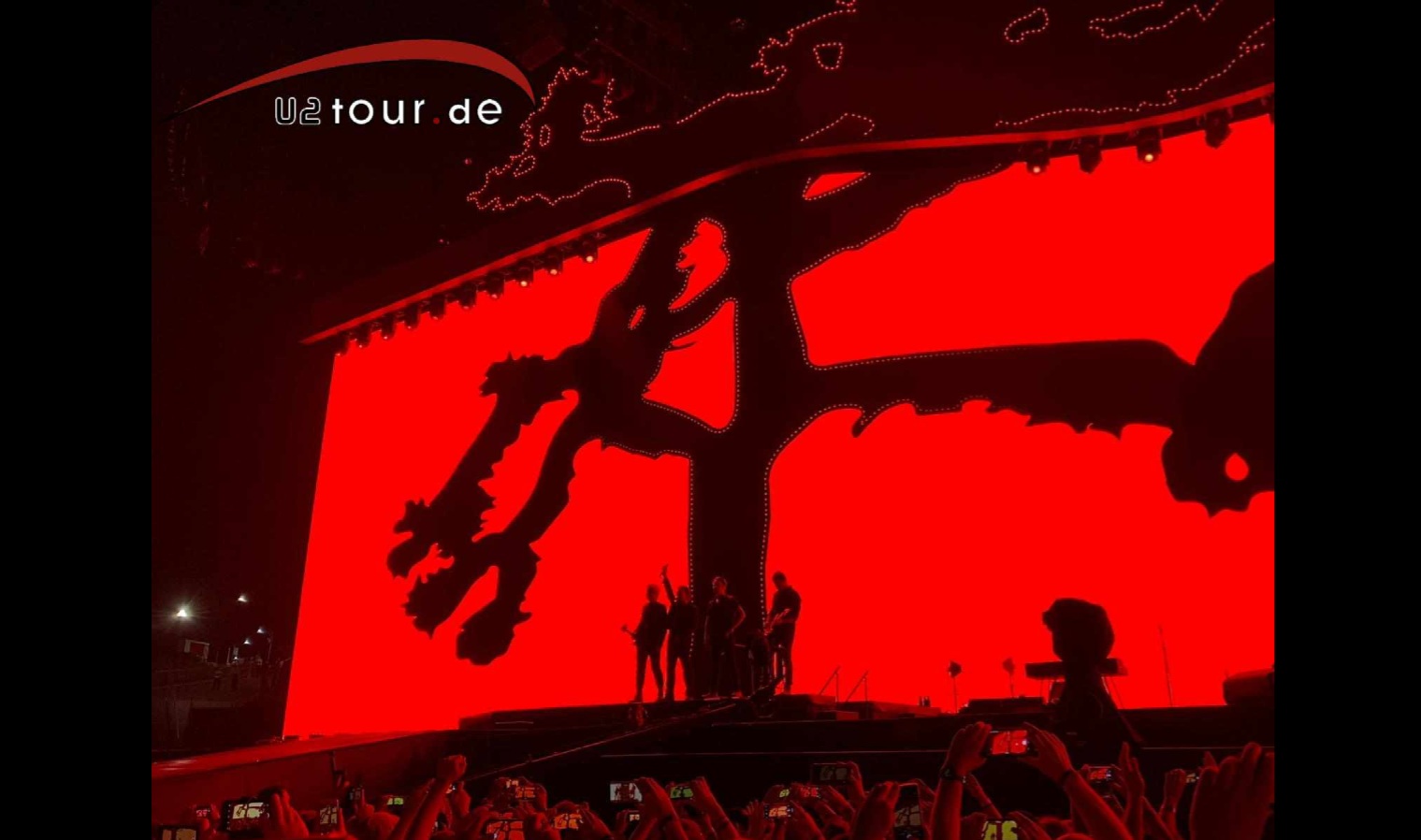 Bild zu: Fotos vom Auftakt der Joshua Tree 2019 in Auckland